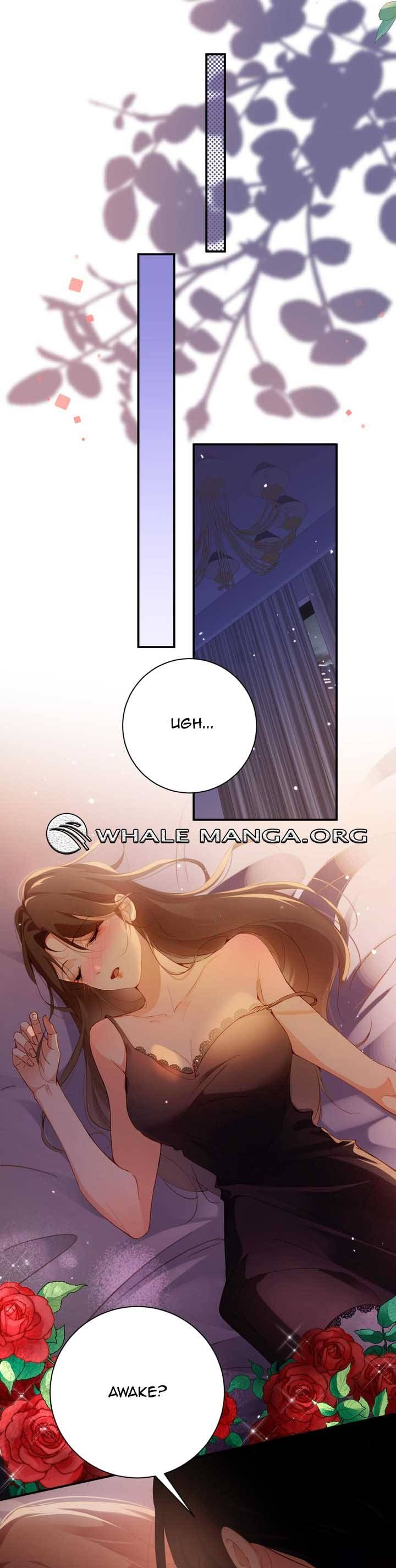 Chapter 1 - Image 4