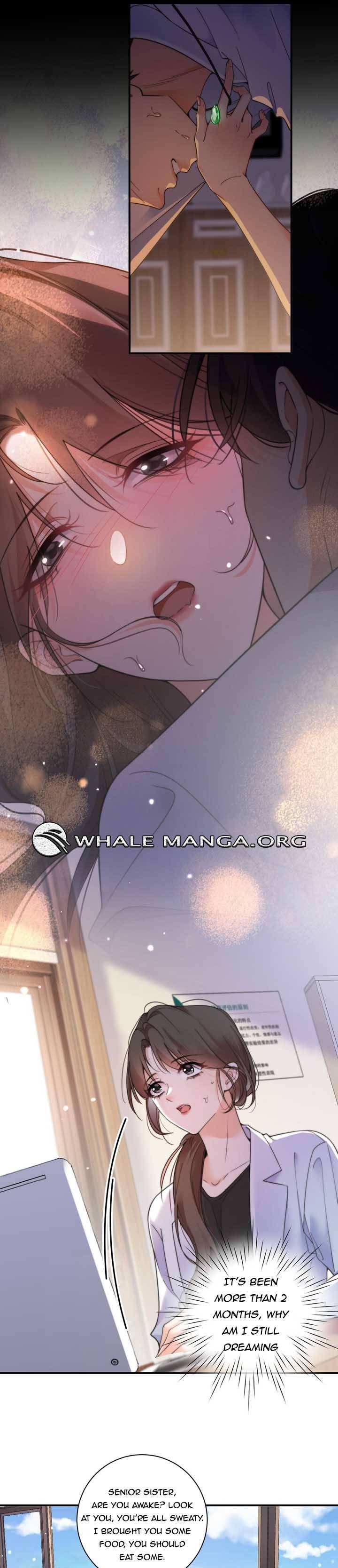 Chapter 1 - Image 7