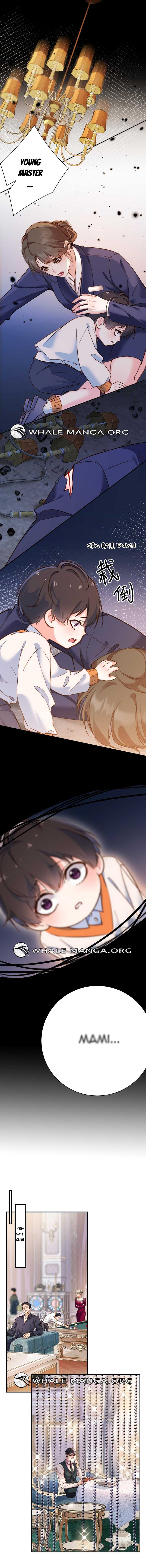 Chapter 5 - Image 4
