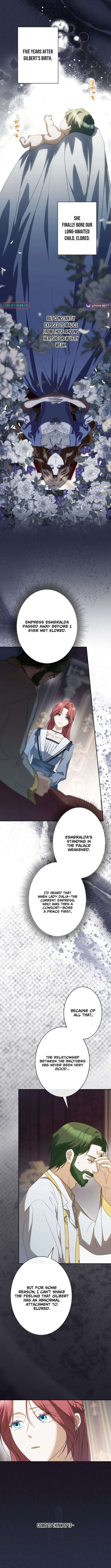 Chapter 3 - Image 6