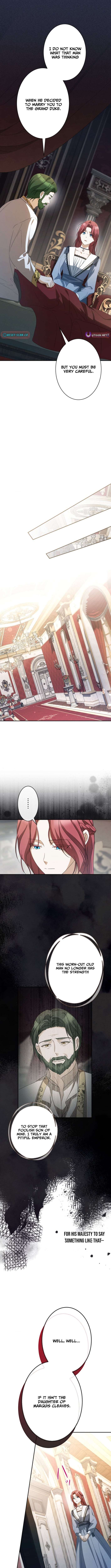 Chapter 3 - Image 8