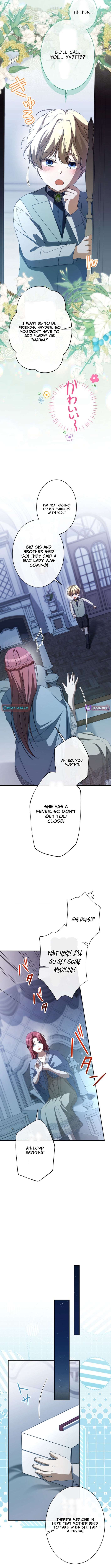 Chapter 4 - Image 11
