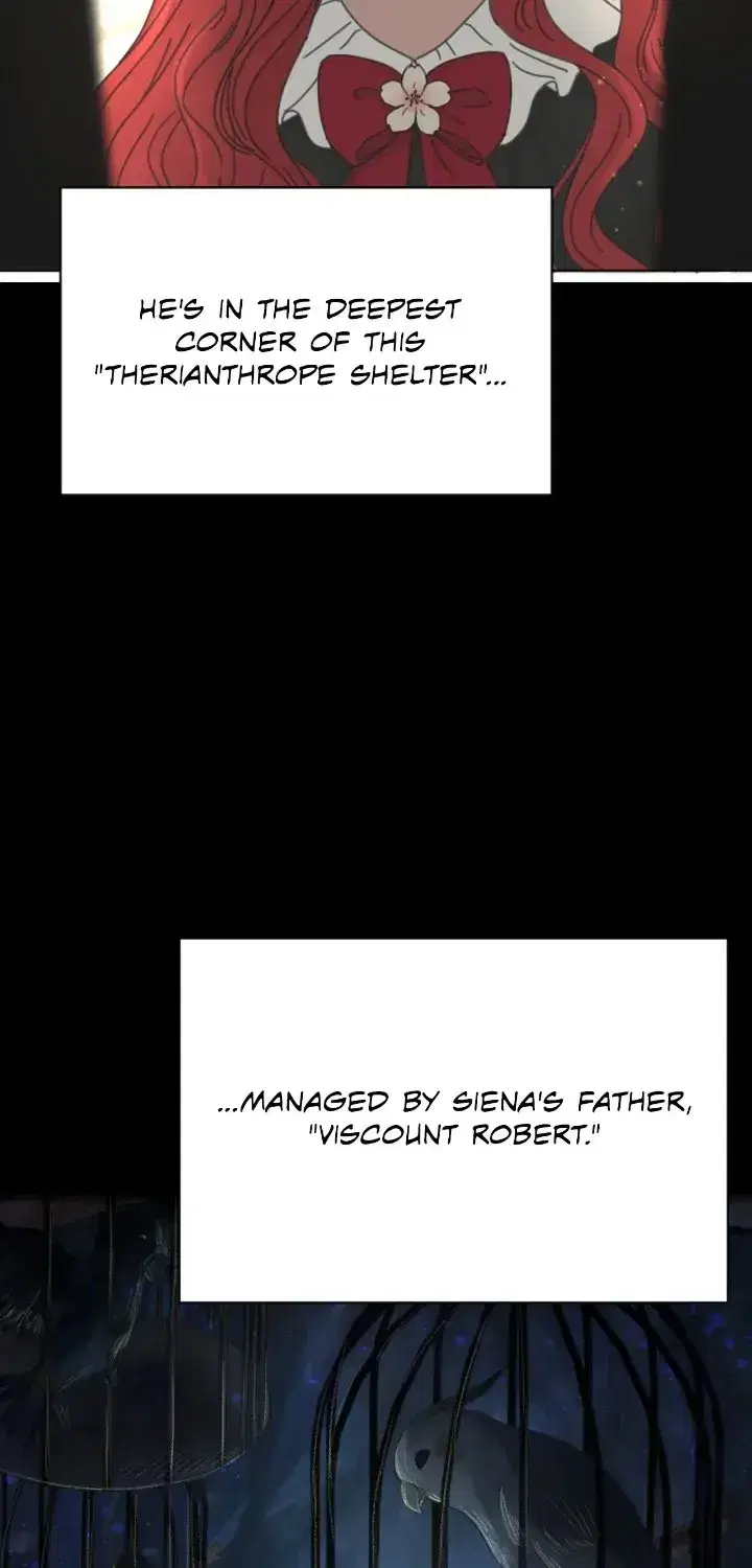 Chapter 1 - Image 12