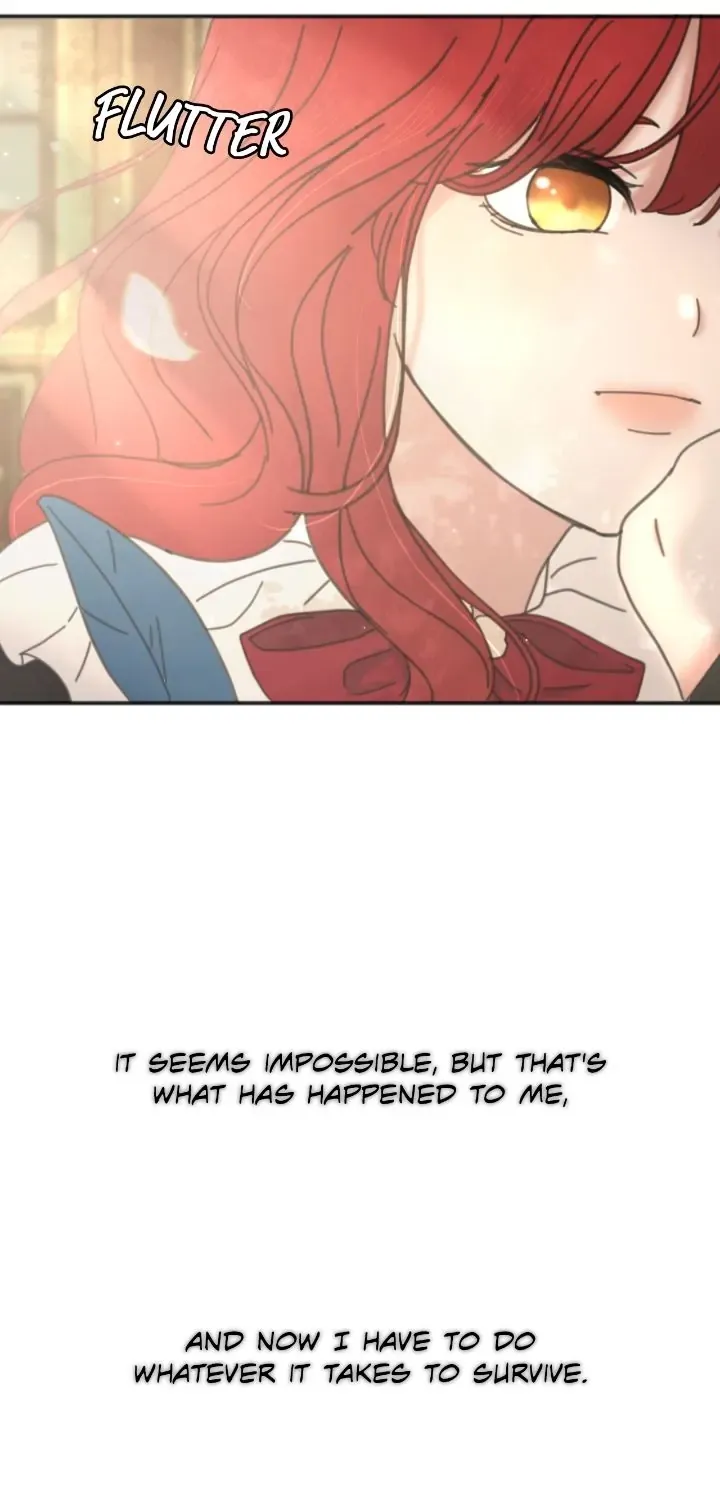 Chapter 1 - Image 5