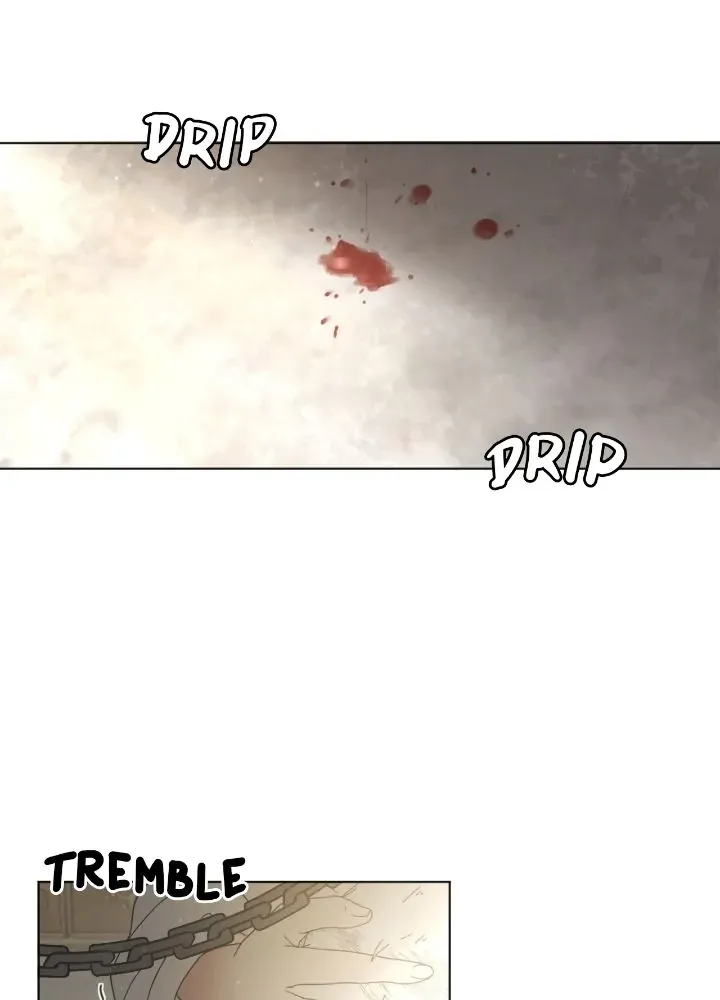 Chapter 2 - Image 23