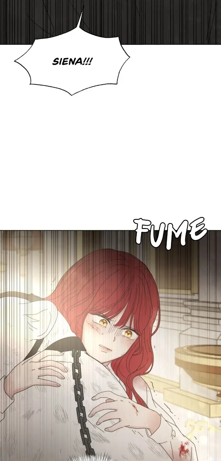 Chapter 2 - Image 27