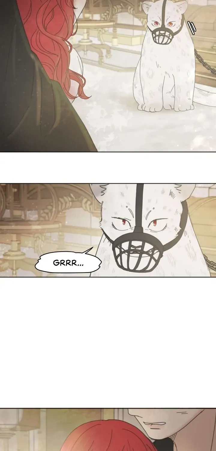 Chapter 2 - Image 36