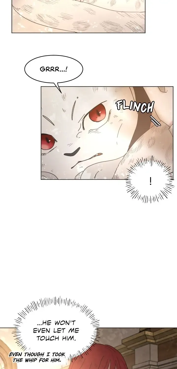 Chapter 2 - Image 58