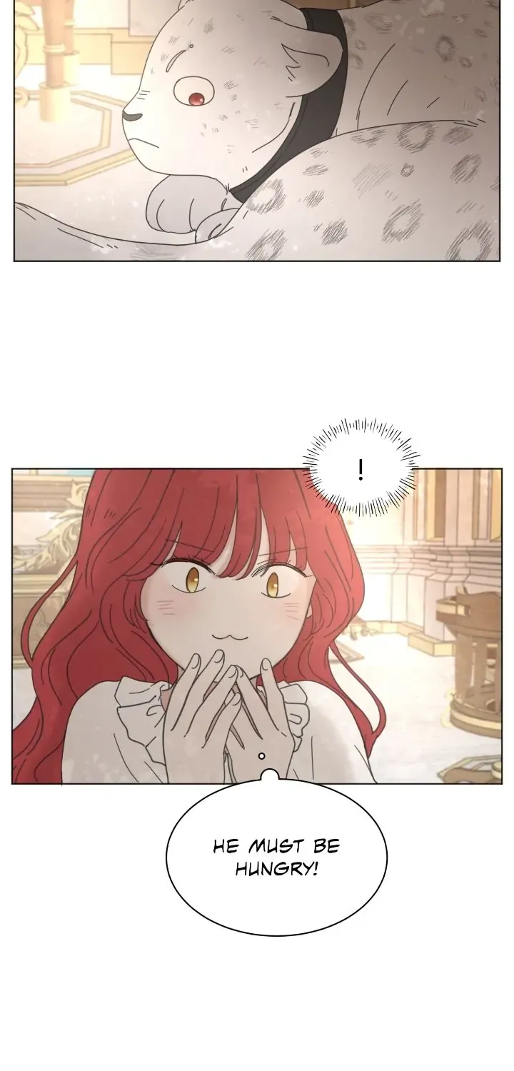 Chapter 2 - Image 61