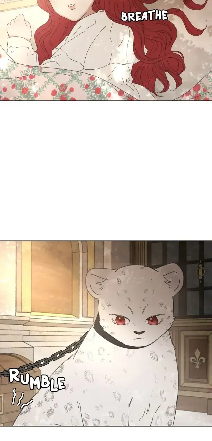 Chapter 2 - Image 76