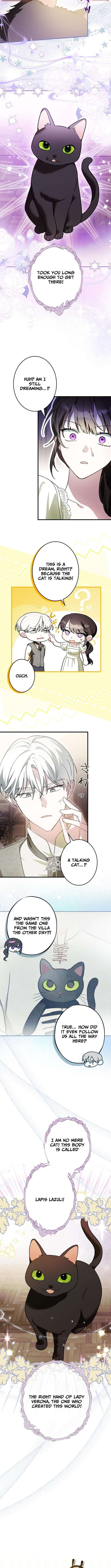 Chapter 15 - Image 5