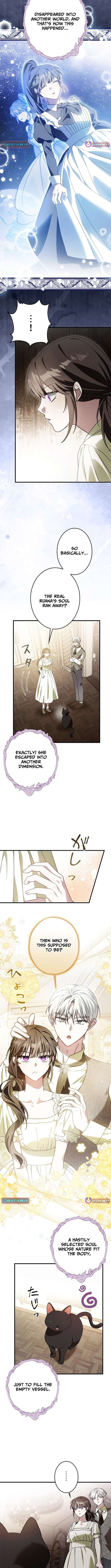Chapter 15 - Image 8