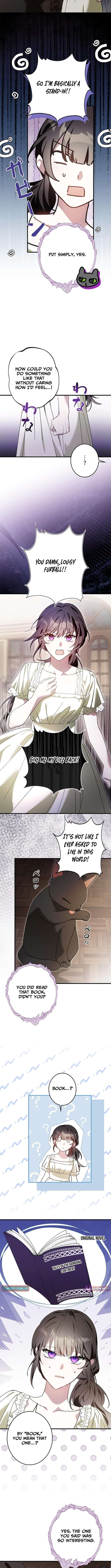 Chapter 15 - Image 9