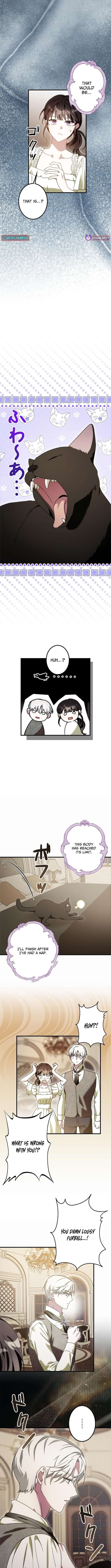 Chapter 16 - Image 9