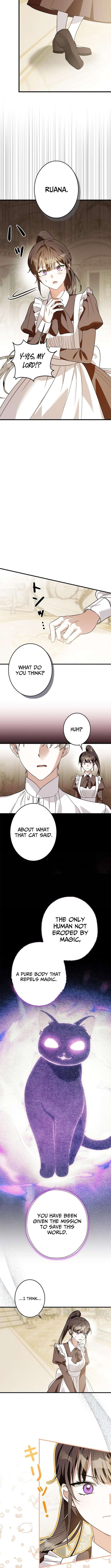 Chapter 19 - Image 4