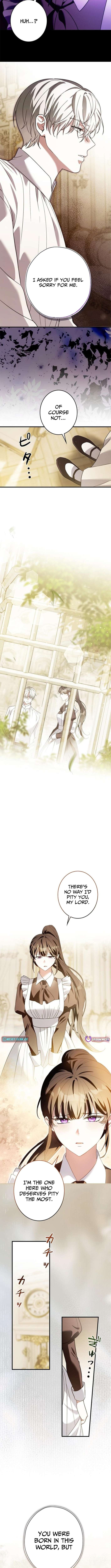 Chapter 19 - Image 6