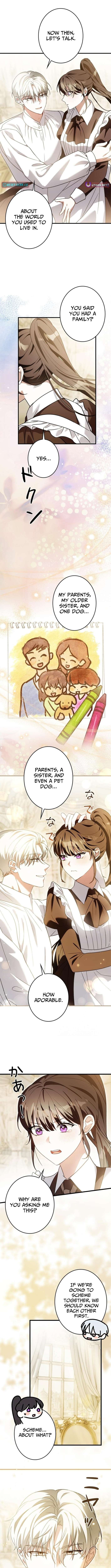Chapter 19 - Image 9