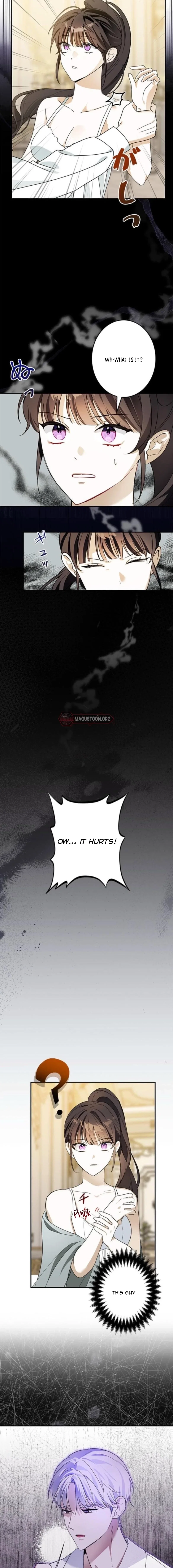 Chapter 4 - Image 8