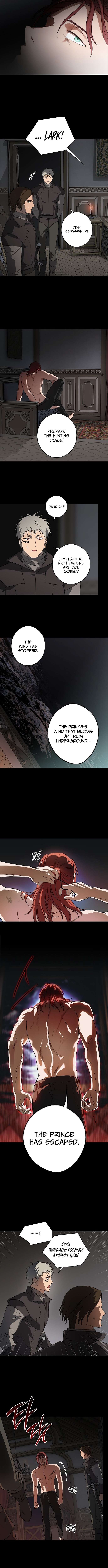 Chapter 216 - Image 8
