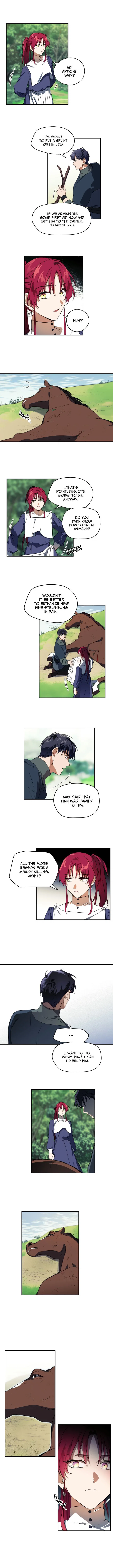 Chapter 8 - Image 3