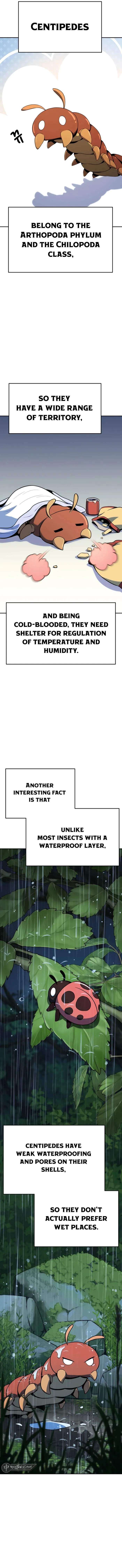 Chapter 2 - Image 4