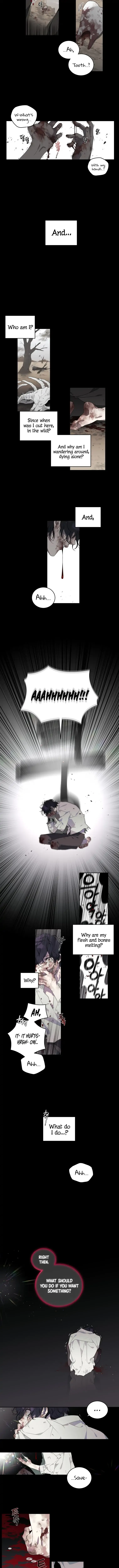 Chapter 1 - Image 2