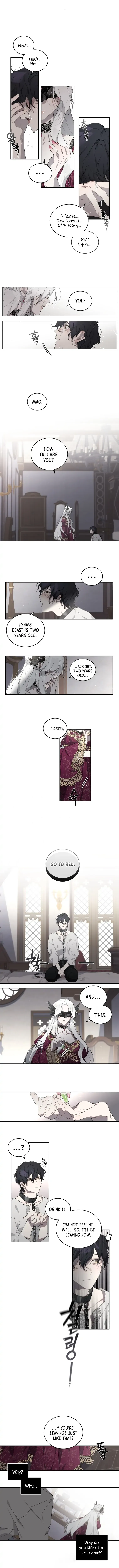 Chapter 1 - Image 8