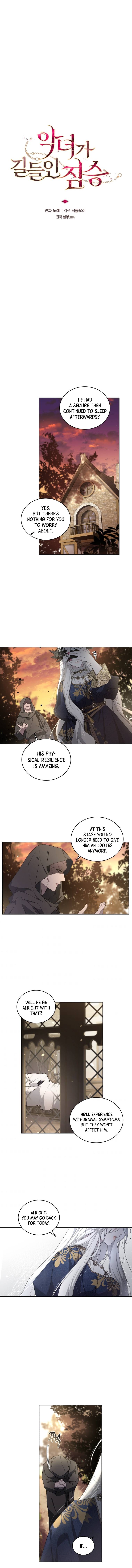 Chapter 11 - Image 14