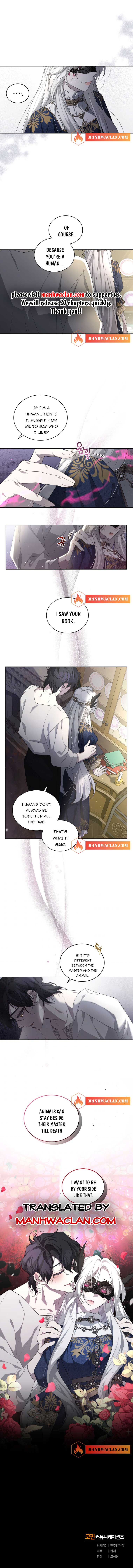 Chapter 11 - Image 6