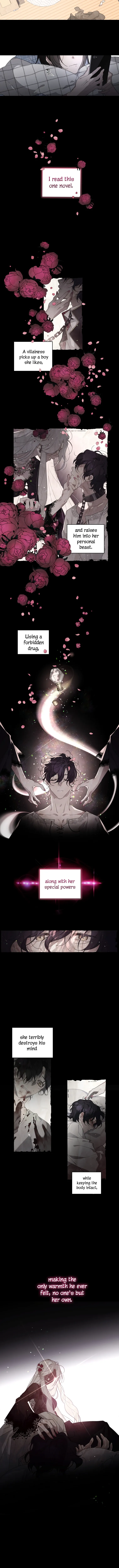 Chapter 2 - Image 2