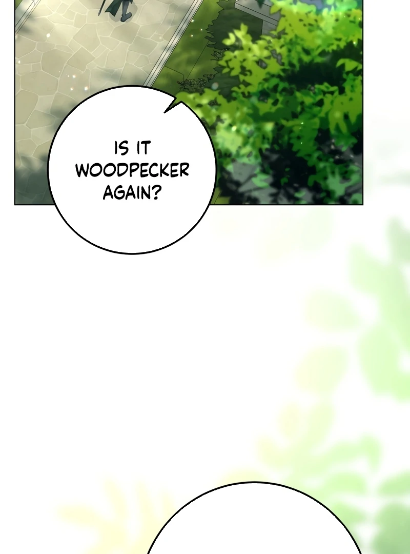 Chapter 2 - Image 16