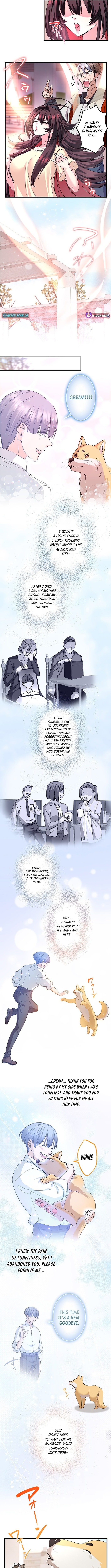 Chapter 17 - Image 7