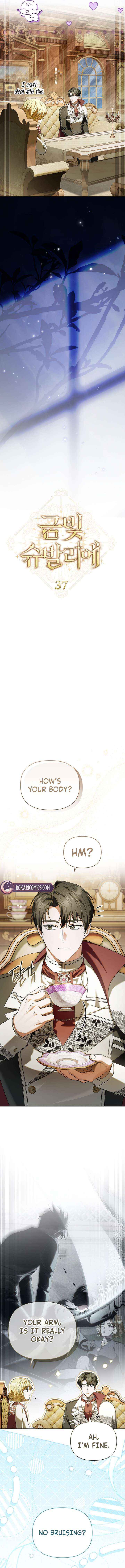 Chapter 37 - Image 5