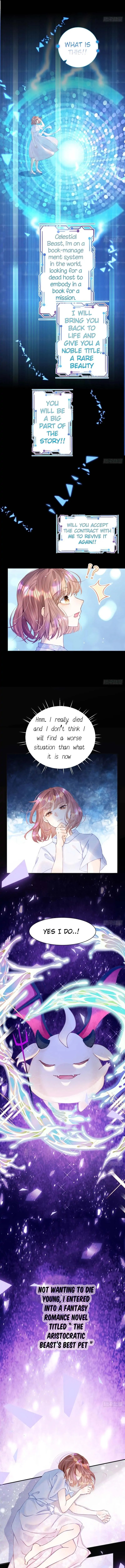 Chapter 1 - Image 5