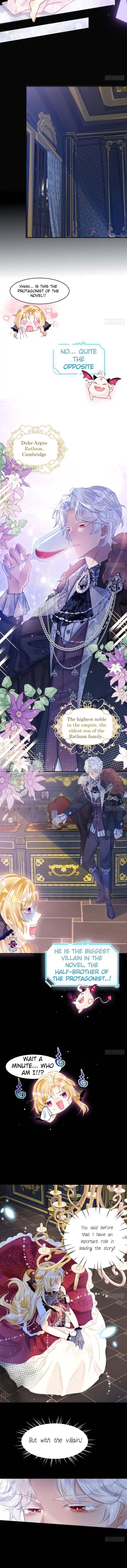 Chapter 1 - Image 6