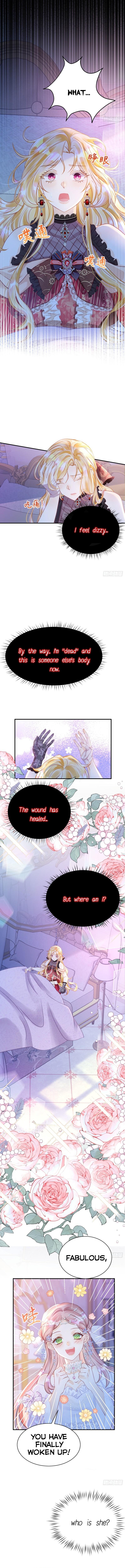 Chapter 4 - Image 5