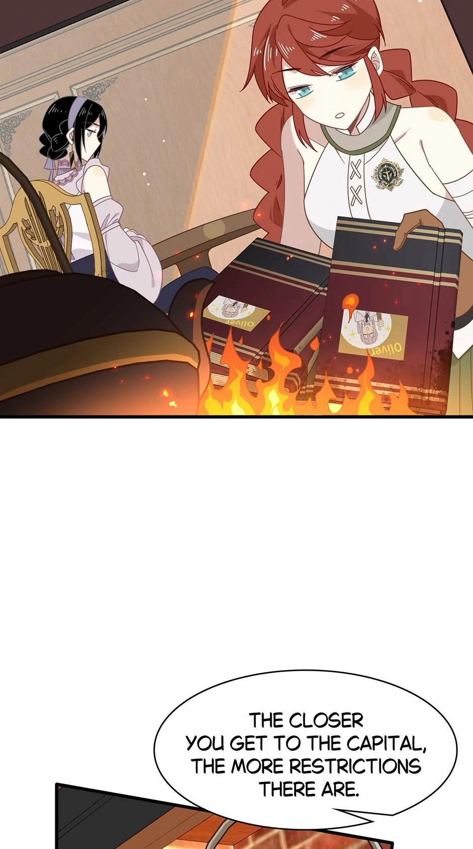 Chapter 21 - Image 22