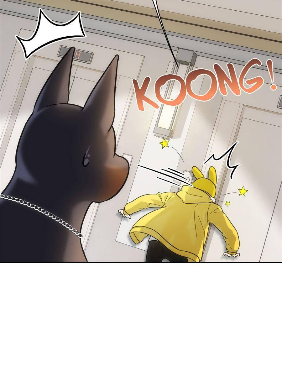Chapter 11 - Image 19