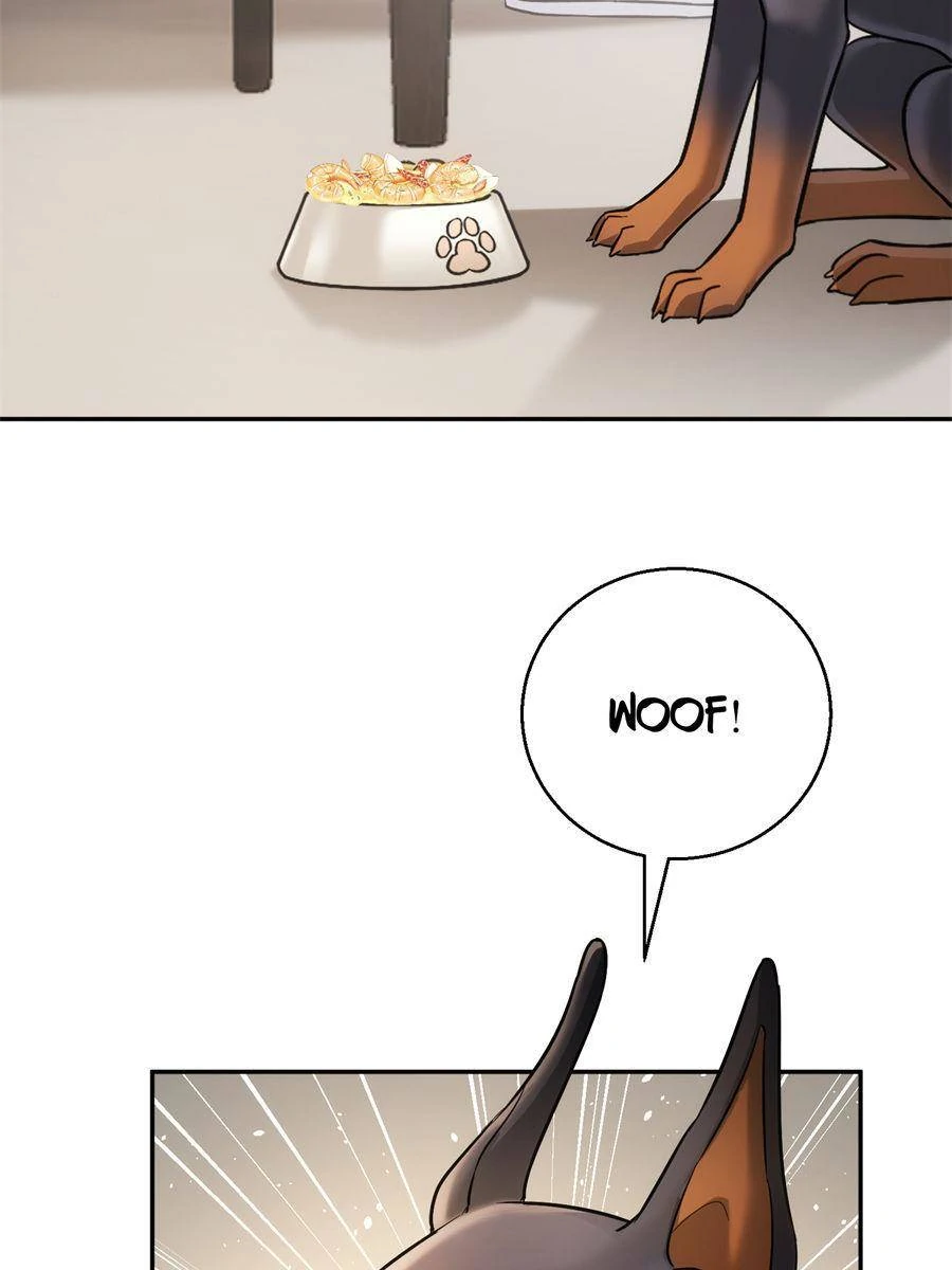 Chapter 11 - Image 29