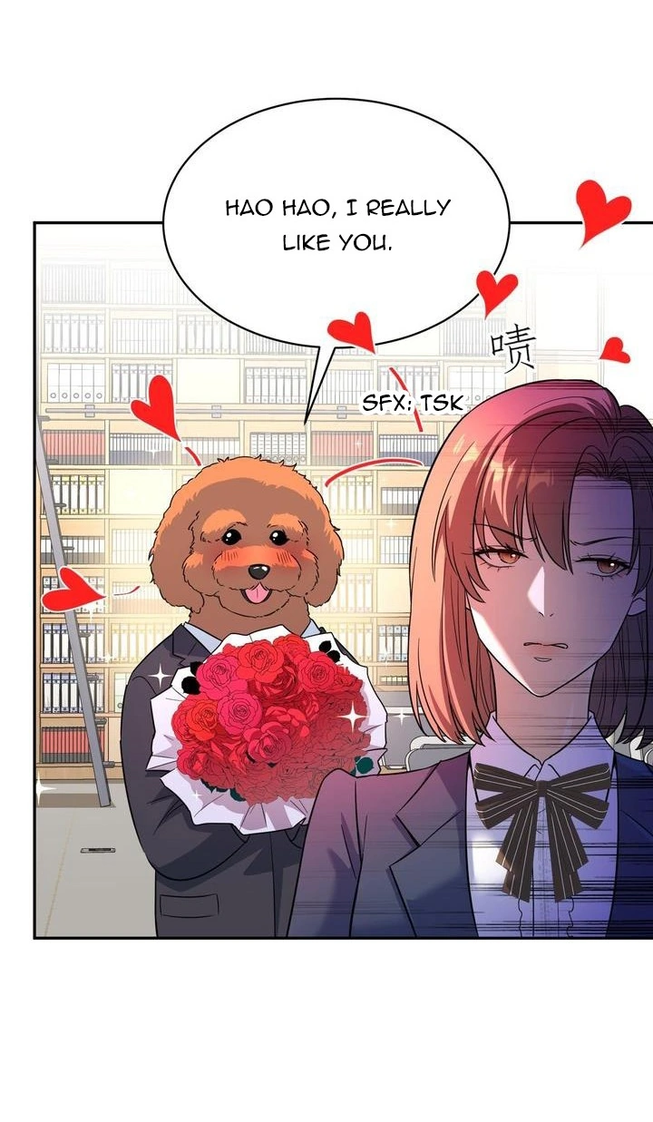 Chapter 1.2 - Image 25