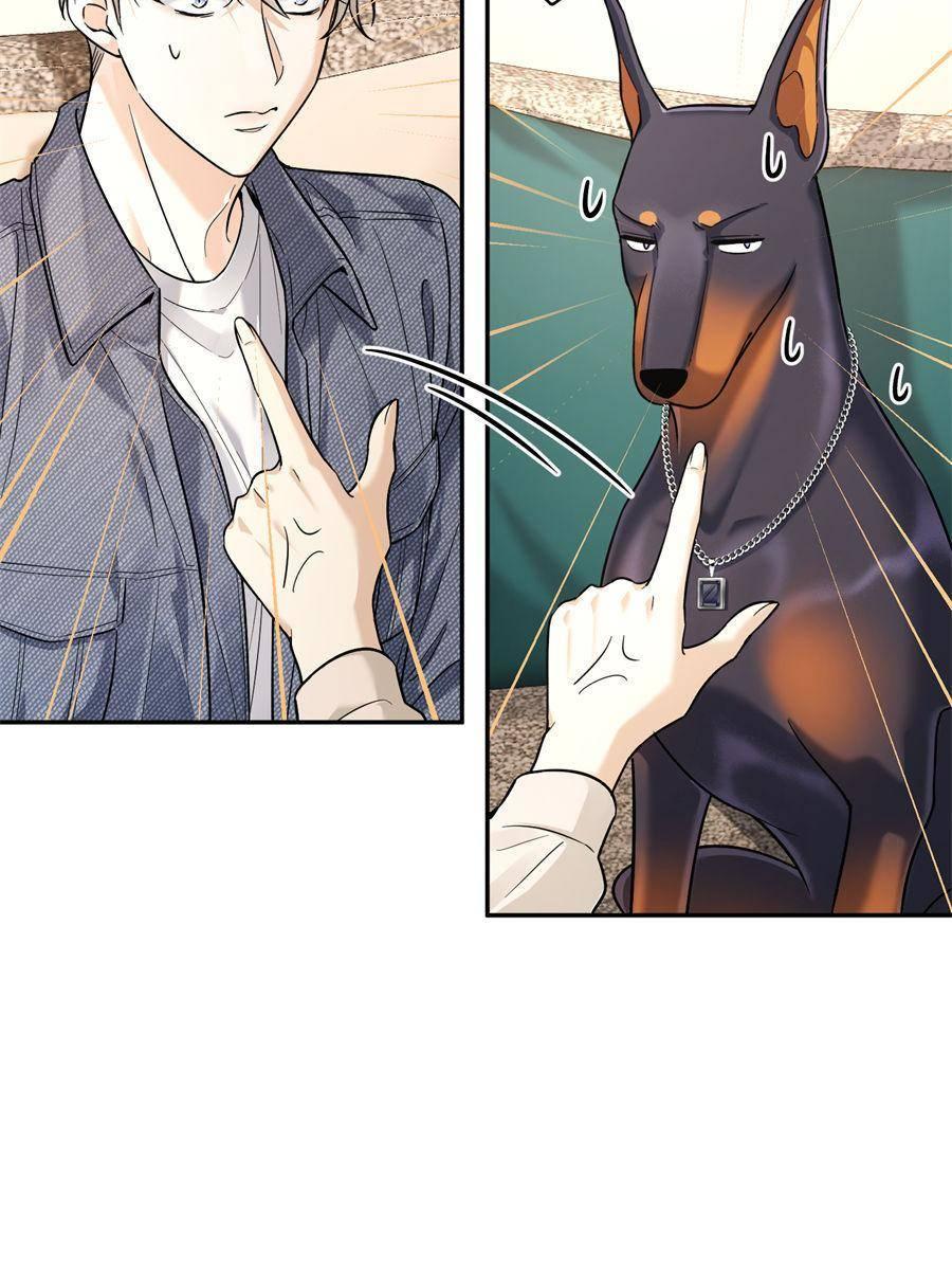 Chapter 12 - Image 5