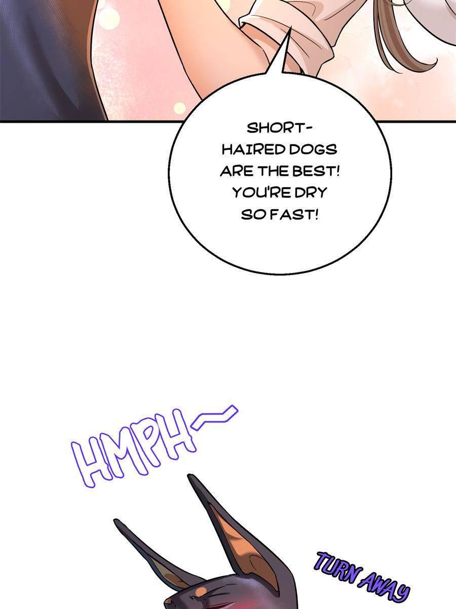 Chapter 8 - Image 19