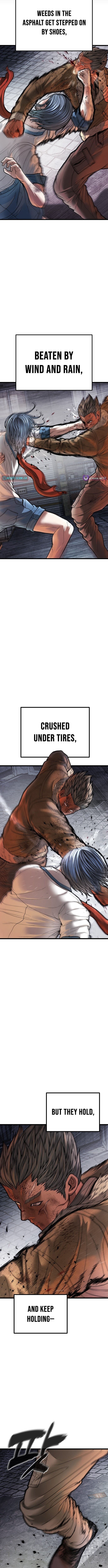 Chapter 19 - Image 19