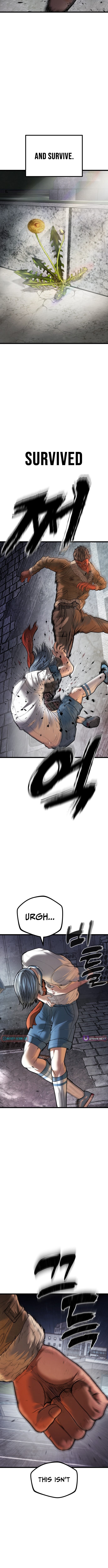 Chapter 19 - Image 20