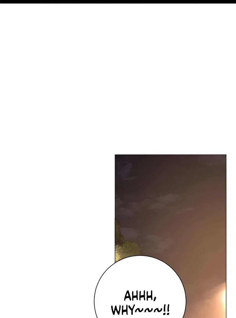 Chapter 4 - Image 3