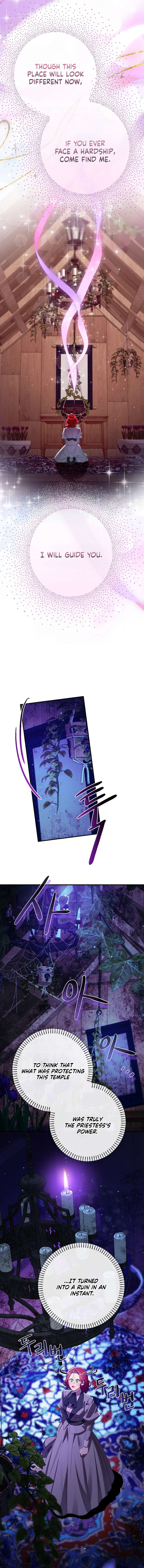 Chapter 21 - Image 11