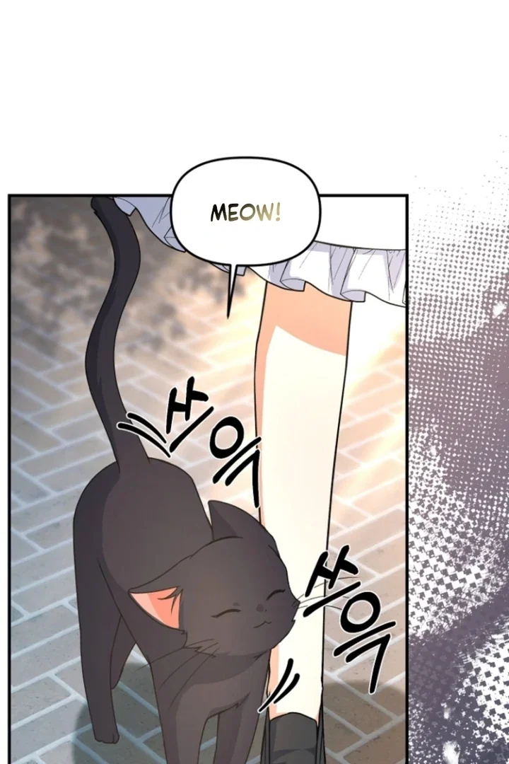 Chapter 16 - Image 3