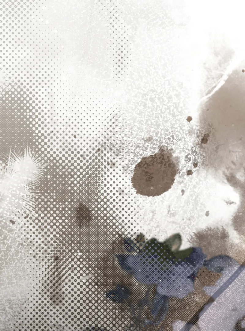 Chapter 29 - Image 61