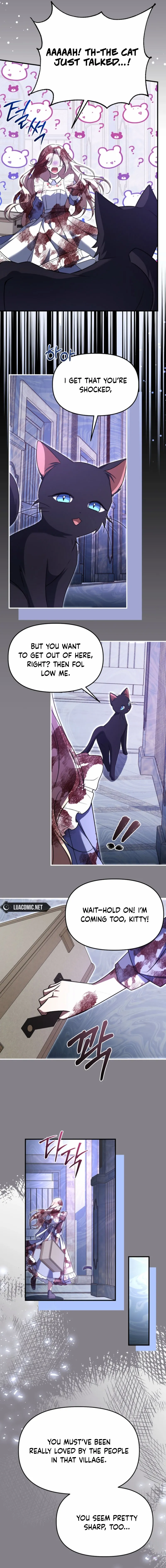 Chapter 5 - Image 6
