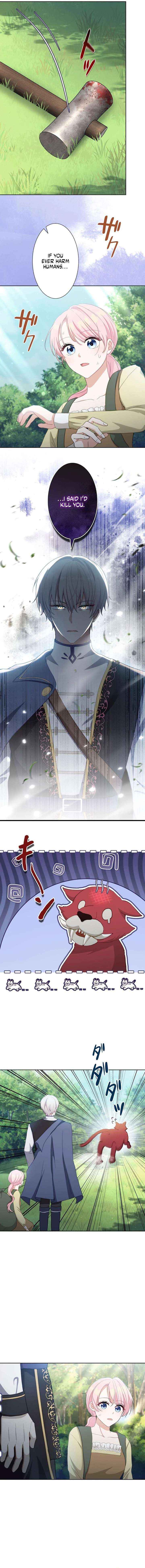 Chapter 2 - Image 11